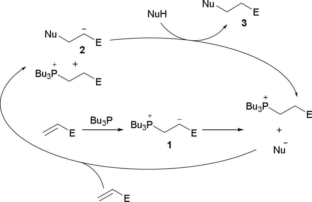 Scheme 2