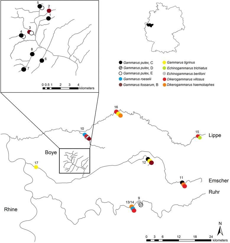 Fig. 1