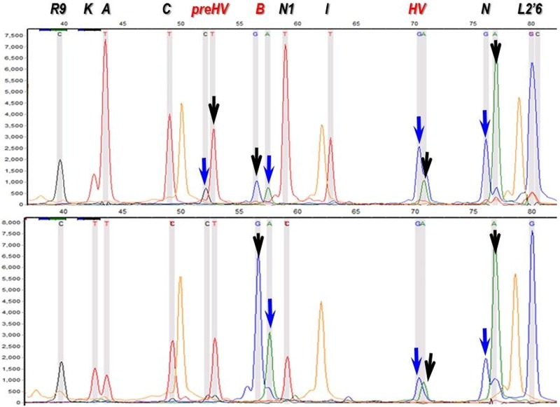 Fig 2