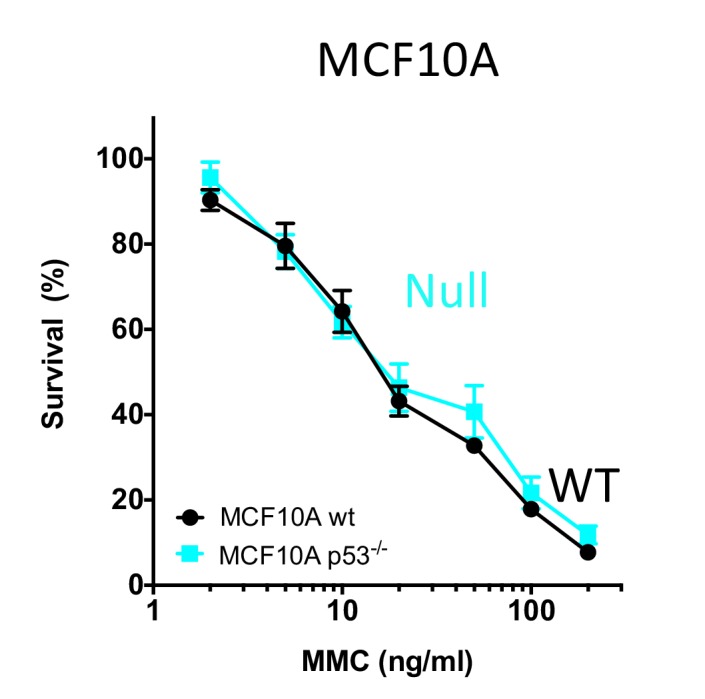 Figure 2—figure supplement 1.