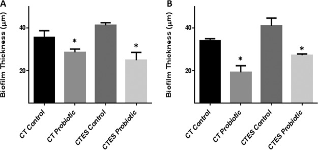 FIG 2