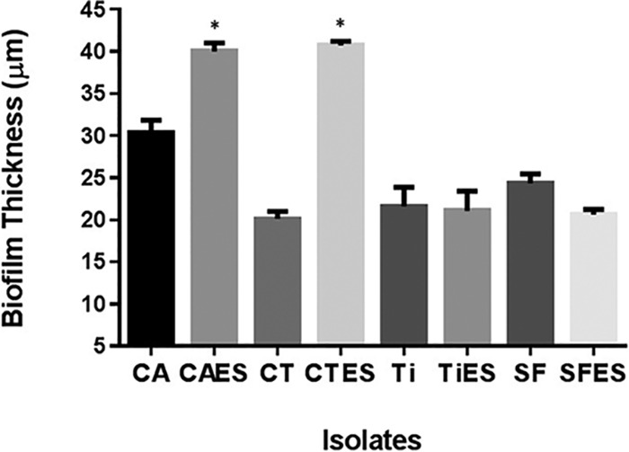 FIG 4