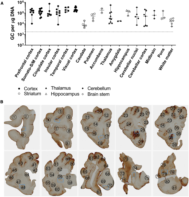 Figure 6