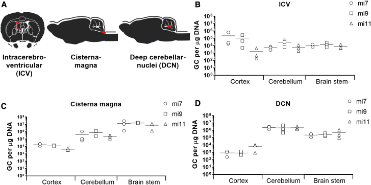 Figure 4