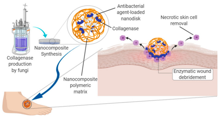 Figure 4