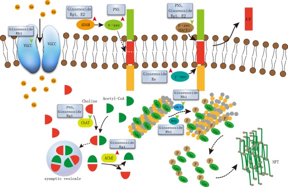 Figure 2.