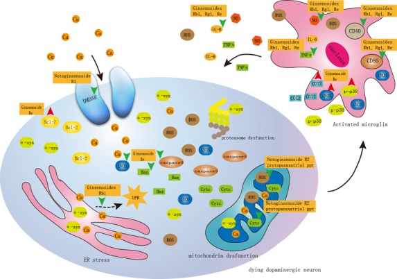 Figure 3.