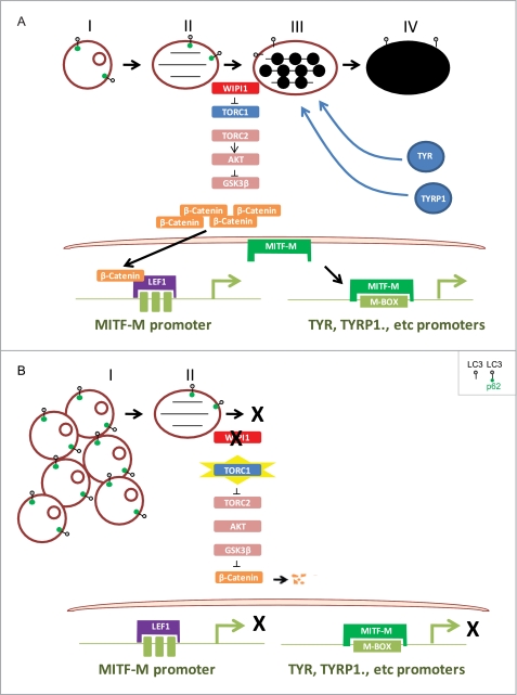 FIGURE 10.