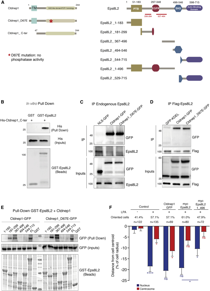 Figure 2