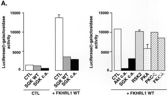 FIG. 6