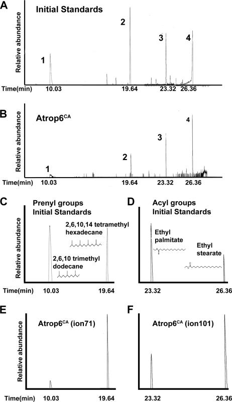 FIG. 6.