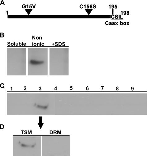 FIG. 8.