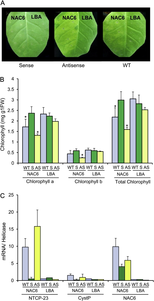 Figure 7.