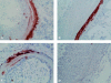 FIG. 6.