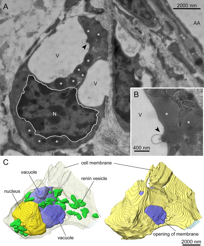 Fig. 4.