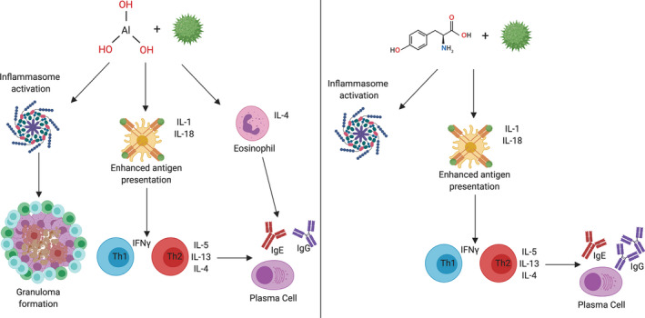 Figure 17