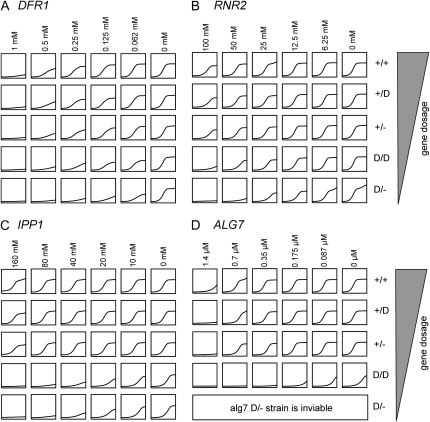 Figure 1.—