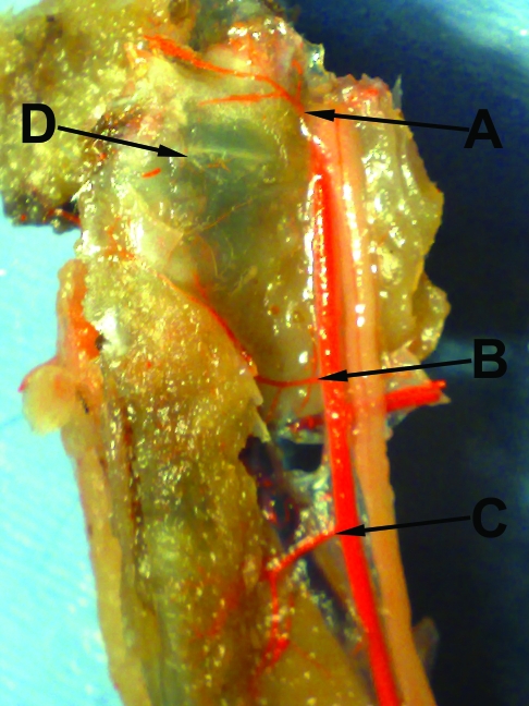 Figure 3.