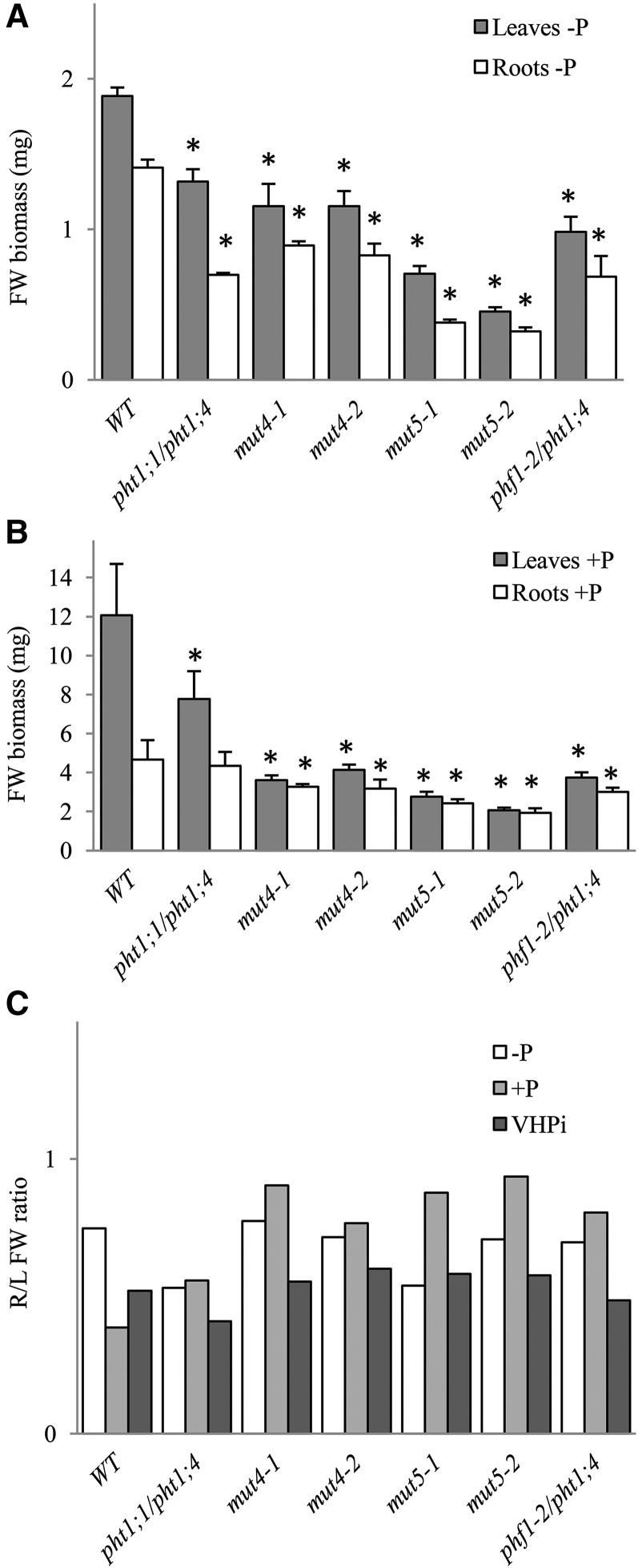 Figure 5.