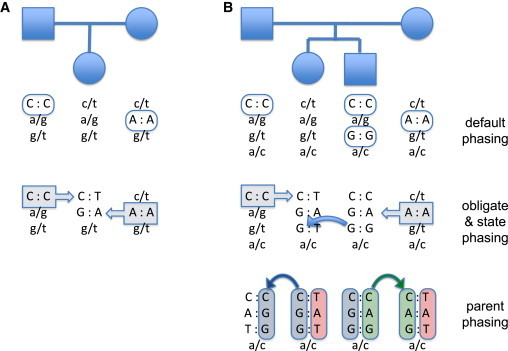 Figure 4