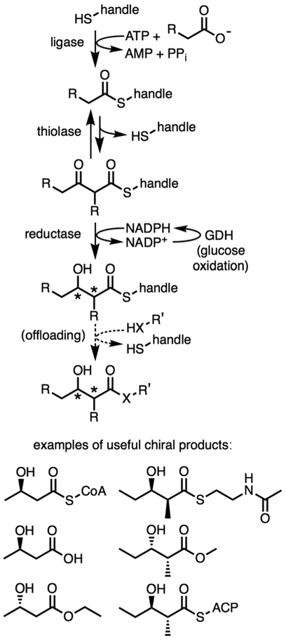 Fig. 1