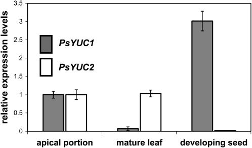 Figure 7.