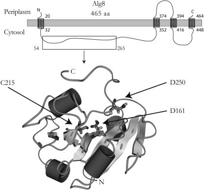 FIG. 2.