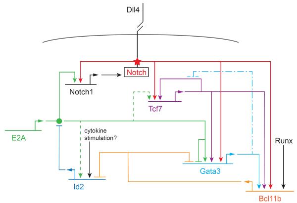 FIGURE 3