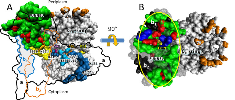 Figure 5.