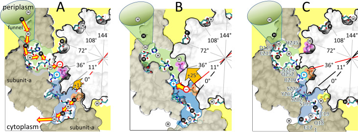 Figure 6.