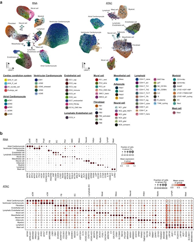 Extended Data Fig. 1