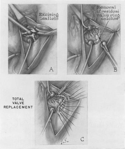 Fig. 13.