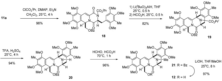 Scheme 5