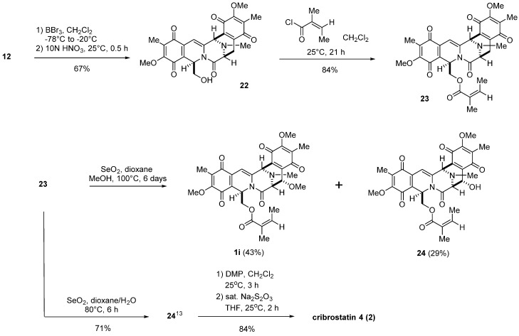 Scheme 6