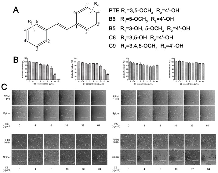 Figure 5