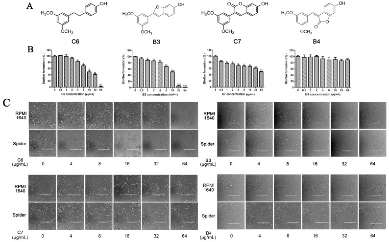 Figure 4