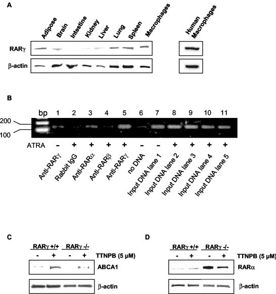 FIG. 5.