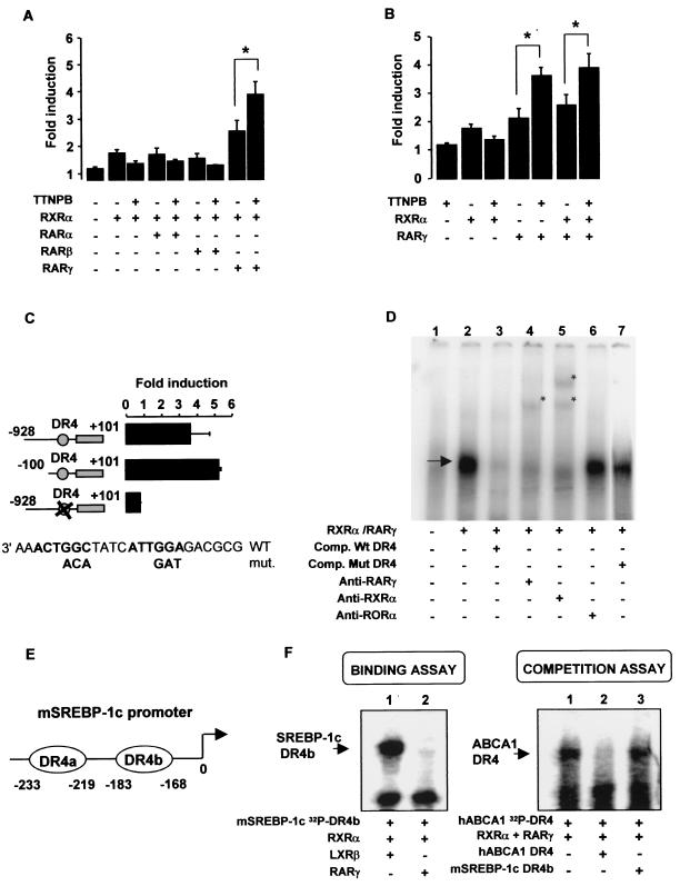 FIG. 4.