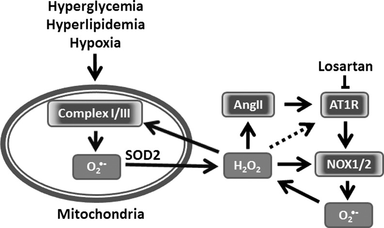 FIG. 4.