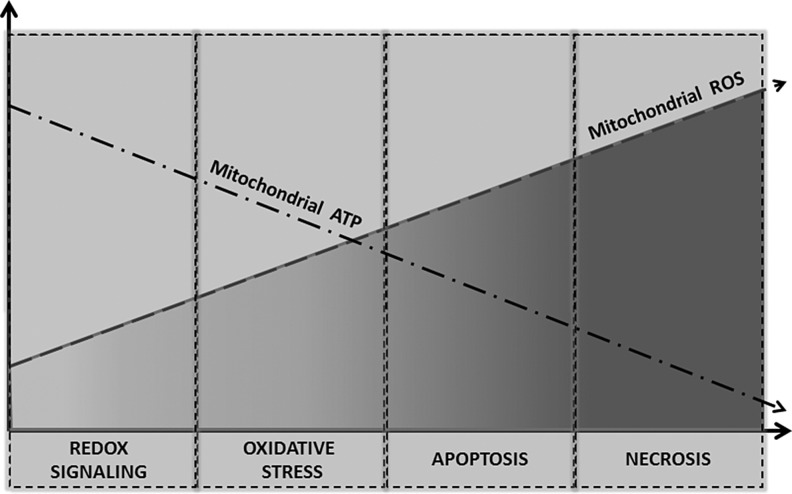 FIG. 2.