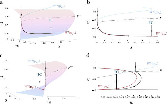 Fig. 7