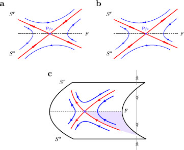 Fig. 5