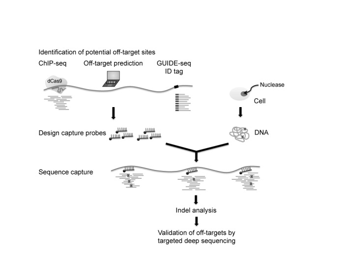 Figure 7.