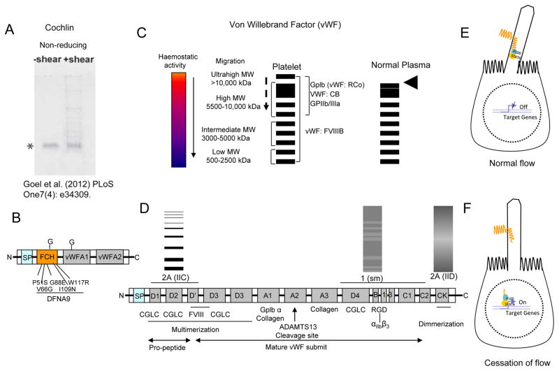 Fig. 13