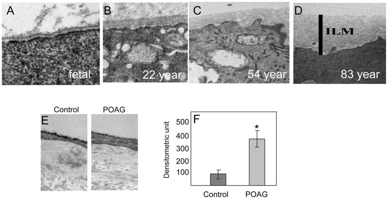 Fig. 11