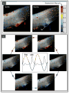 Fig. 3