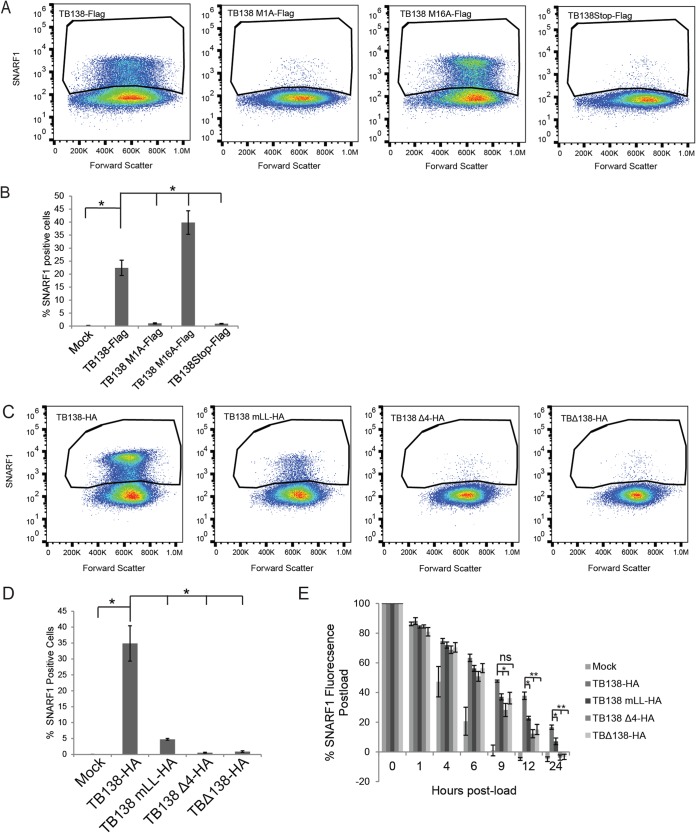 FIG 6