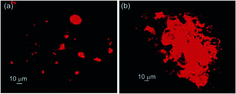 Fig. 9