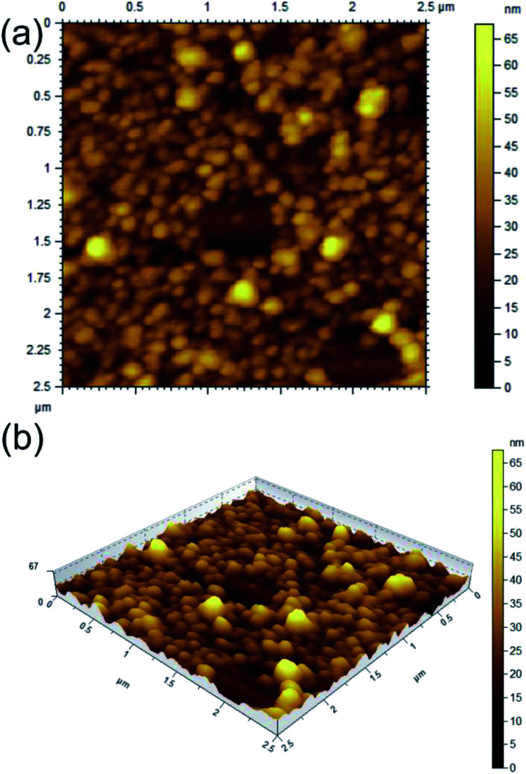 Fig. 3