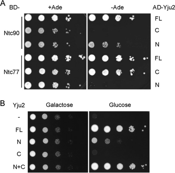 Fig 2